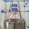 10 l ~ 200 l enclosed single-layer glass reaction kettle (with no down mouth)